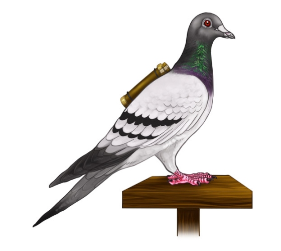 messenger-pigeon-low-res.jpg